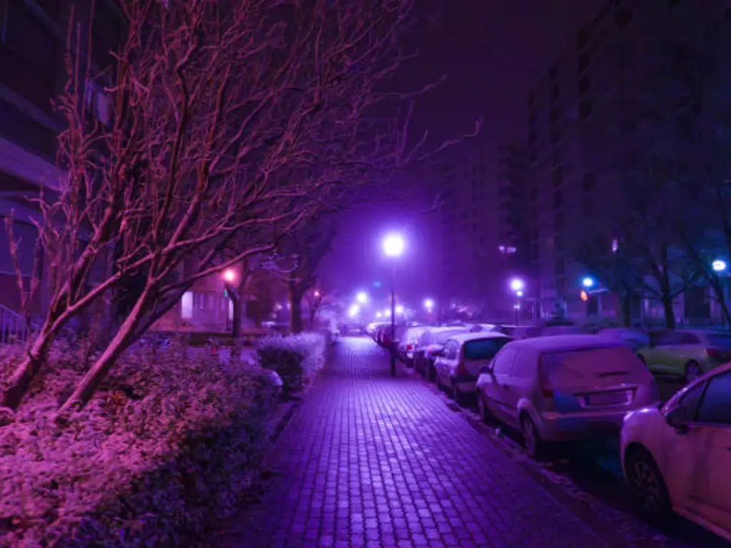 purple road lights